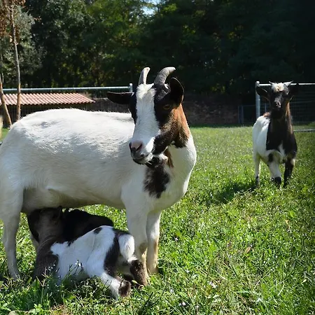 Alloggio per agriturismo Agriturismo La Fraccina *