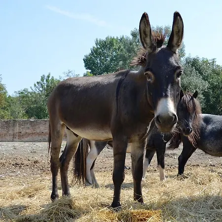 Agriturismo La Fraccina